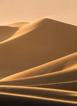 Wilderness: Dunes in low sun, and nothing else for miles.